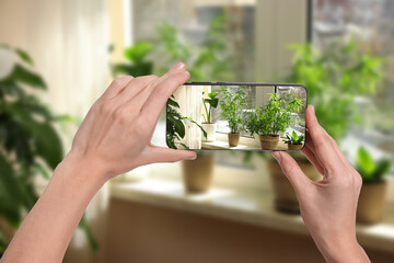 Man taking photo of plant to recognize it using identifier application on mobile phone indoors,...