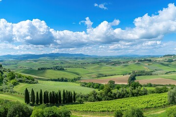 Obraz premium Blue Sky with Fluffy White Clouds Over a Peaceful Countryside Landscape