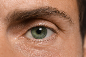 Closeup view of man with green eyes