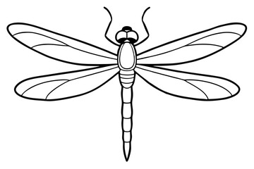 dragonfly silhouette line art vector illustration with a white background