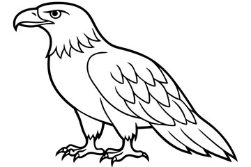 eagle silhouette line art vector illustration with a white background