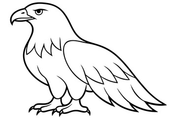 eagle silhouette line art vector illustration with a white background