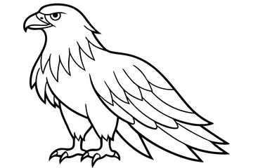 eagle silhouette line art vector illustration with a white background