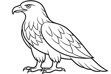 eagle silhouette line art vector illustration with a white background