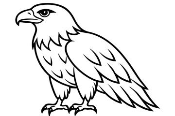 eagle silhouette line art vector illustration with a white background