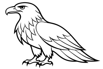 eagle silhouette line art vector illustration with a white background