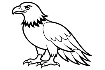eagle silhouette line art vector illustration with a white background