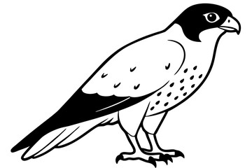 falcon silhouette line art vector illustration with a white background