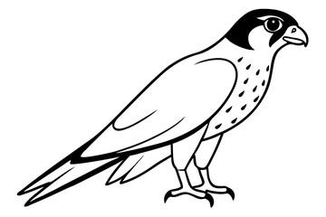 Fototapeta premium falcon silhouette line art vector illustration with a white background
