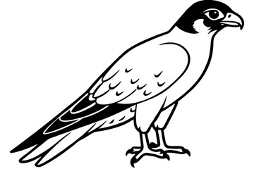 falcon silhouette line art vector illustration with a white background