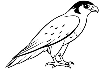 falcon silhouette line art vector illustration with a white background