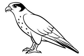 falcon silhouette line art vector illustration with a white background