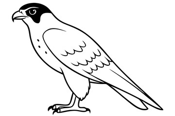 falcon silhouette line art vector illustration with a white background