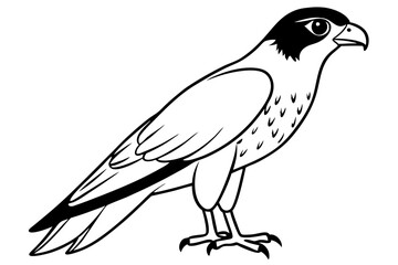 falcon silhouette line art vector illustration with a white background