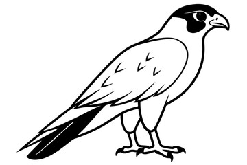falcon silhouette line art vector illustration with a white background