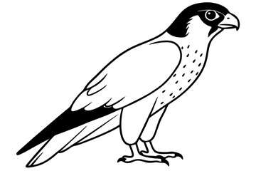 falcon silhouette line art vector illustration with a white background