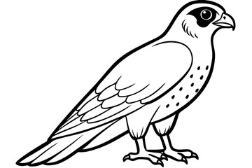 falcon silhouette line art vector illustration with a white background
