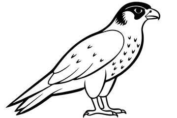 Fototapeta premium falcon silhouette line art vector illustration with a white background
