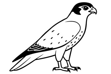 falcon silhouette line art vector illustration with a white background