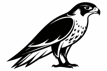 falcon silhouette line art vector illustration with a white background