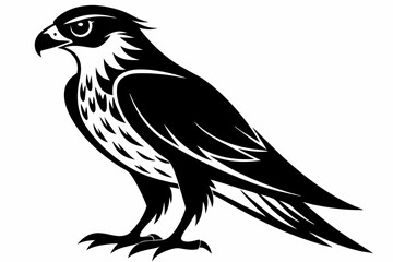 Fototapeta premium falcon silhouette line art vector illustration with a white background