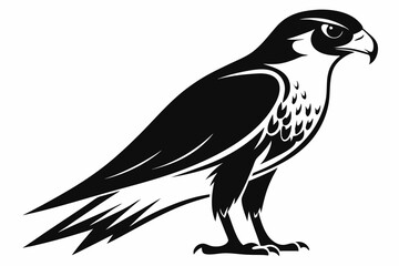 falcon silhouette line art vector illustration with a white background