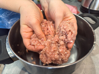  Female hand mixing minced meat in bowl on kitchen, close-up