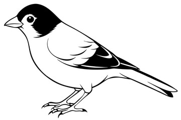 finch bird silhouette line art vector illustration with a white background