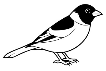 finch bird silhouette line art vector illustration with a white background