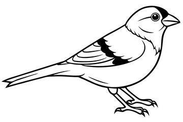 finch bird silhouette line art vector illustration with a white background