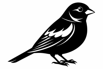 finch bird silhouette line art vector illustration with a white background