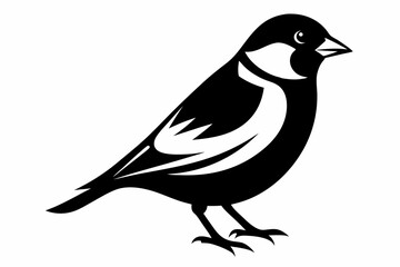 finch bird silhouette line art vector illustration with a white background