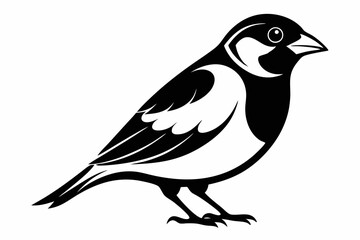 finch bird silhouette line art vector illustration with a white background