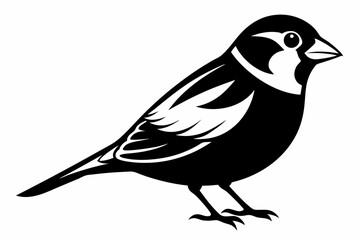 finch bird silhouette line art vector illustration with a white background