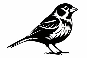 Obraz premium finch bird silhouette line art vector illustration with a white background