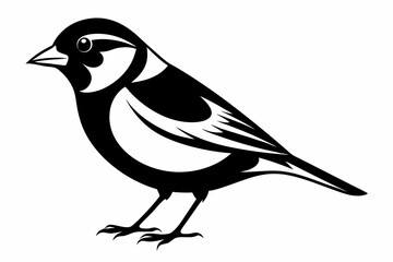 finch bird silhouette line art vector illustration with a white background