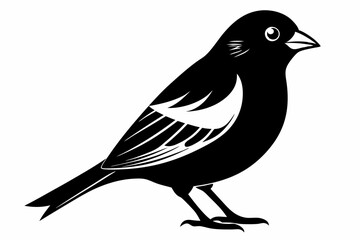 finch bird silhouette line art vector illustration with a white background