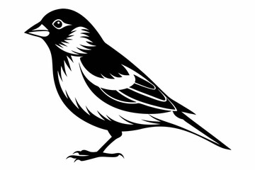 finch bird silhouette line art vector illustration with a white background