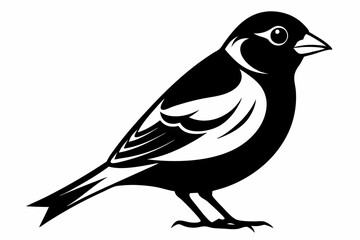 finch bird silhouette line art vector illustration with a white background