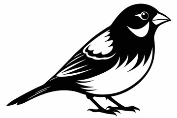 finch bird silhouette line art vector illustration with a white background