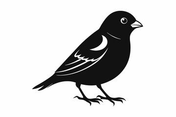 finch bird silhouette line art vector illustration with a white background