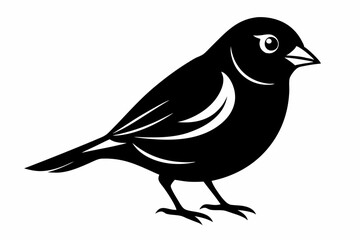 finch bird silhouette line art vector illustration with a white background