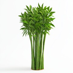 Obraz premium Tall bamboo stalks with fresh green leaves, symbolizing growth and harmony, isolated on white background