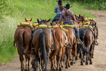 Silver Creek, Colorado