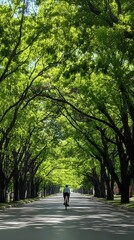 40. A person riding a bicycle on a clean road with green trees lining the path