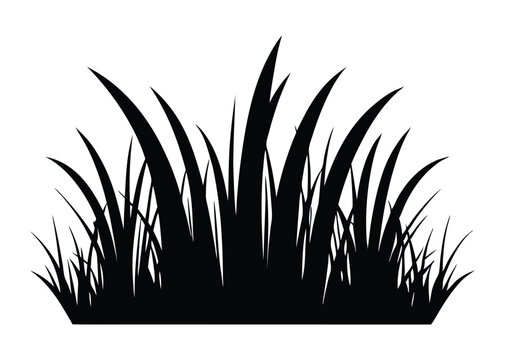 recommend clip art: grass silhouette, Seamless grass silhouette, grass vector illustration. 