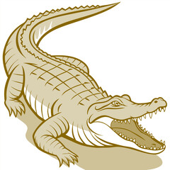 Powerful Tan Alligator Illustration: Detailed Scaled Reptile Vector Graphic.