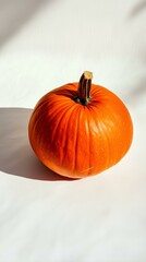 A bright orange pumpkin with shadows on a white background, highlighting its texture and shape.