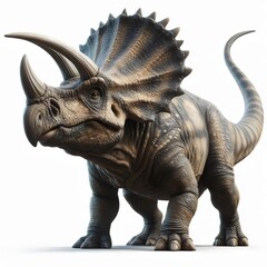 Fototapeta premium dinosaur, triceratops isolated on white background 