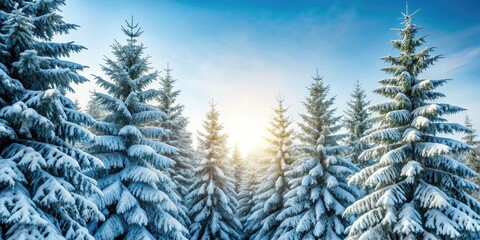 Obraz premium Snowy evergreen trees stand frosty with branches stretching towards the sky like frozen arms, snow covered, frozen landscape, winter wonderland, bare trees